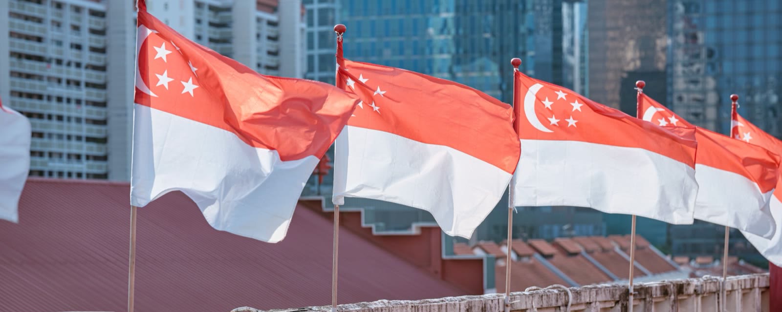 一排迎风飘扬的新加坡国旗，背景是城市高楼